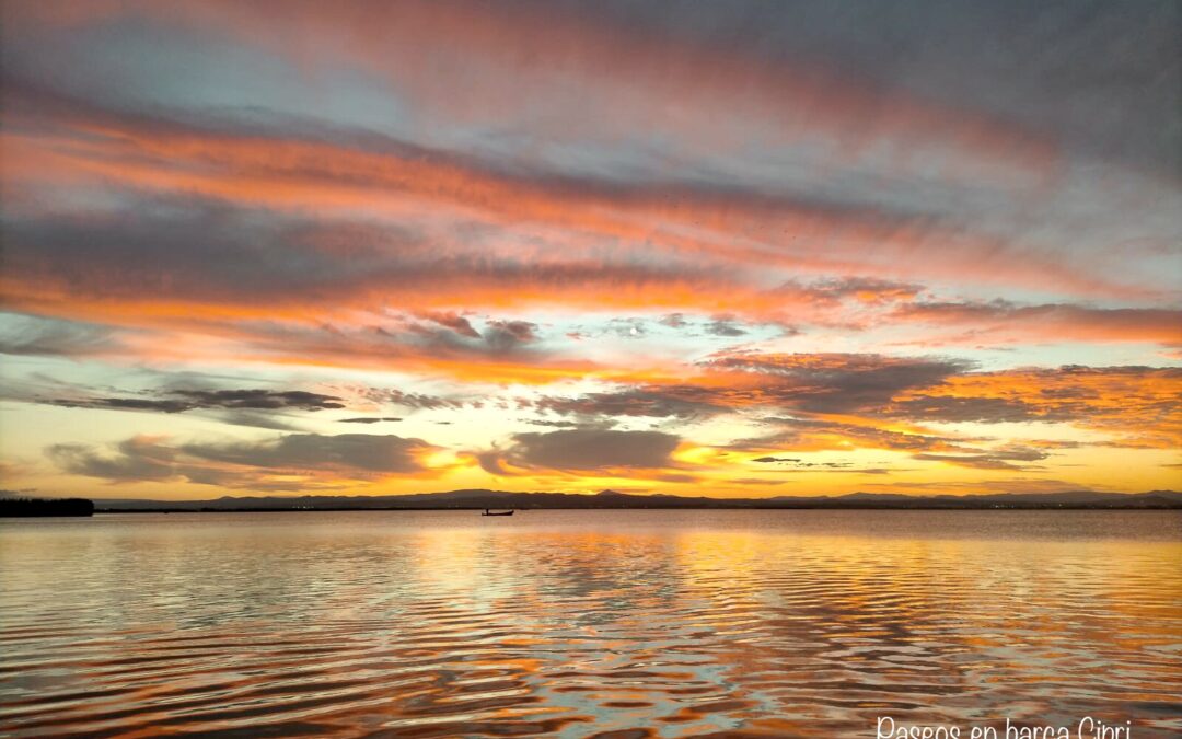 Atardecer en la Albufera de Valencia